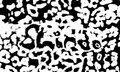 Shindo Print sticker
